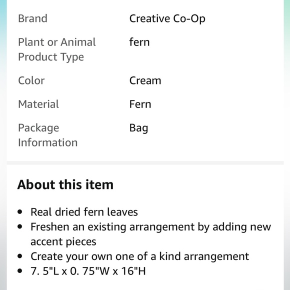 Creative Co Op Dried Cream Fern Bouquet - Picture 12 of 12